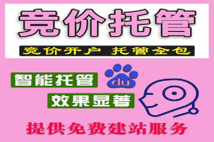 详解百度推广开户：成功案例带你入门